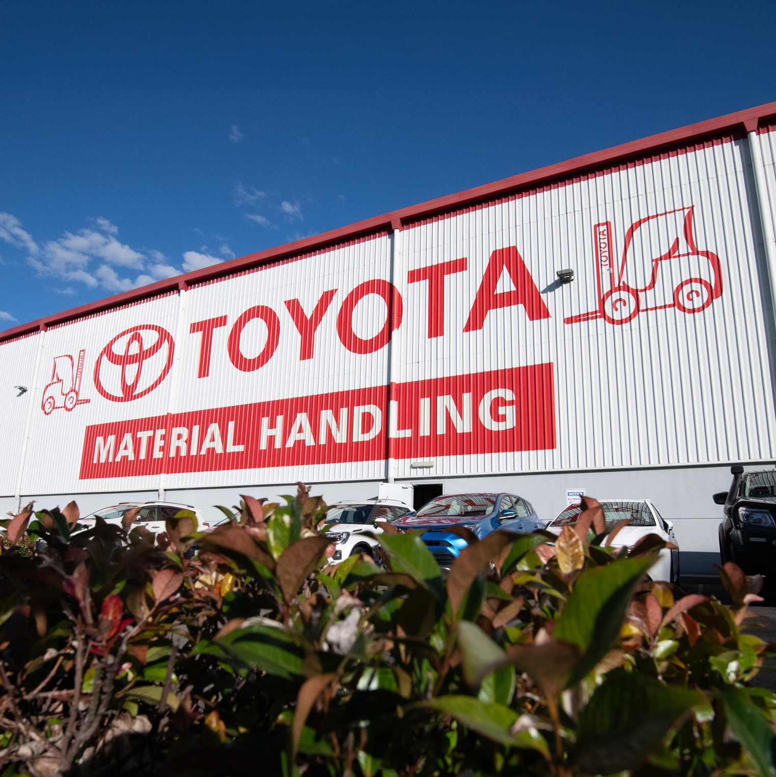 Large scale painted wall signage